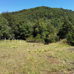 Terreno de 1.4 Ha. en Malalcahuello, sector Caracoles - Inmobiliaria Simple Sur, Malalcahuello - Corralco - Sector Caracoles (19)