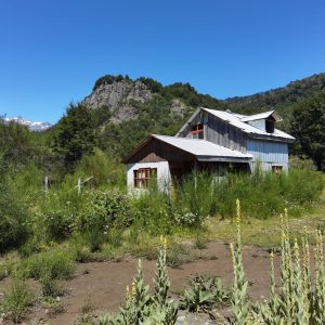Terreno de 1.4 Ha. en Malalcahuello, sector Caracoles - Inmobiliaria Simple Sur, Malalcahuello - Corralco - Sector Caracoles (2)