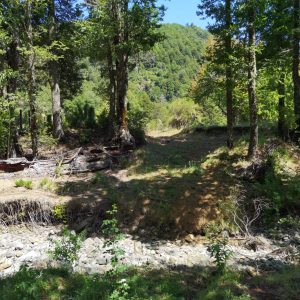 Terreno de 1.4 Ha. en Malalcahuello, sector Caracoles - Inmobiliaria Simple Sur, Malalcahuello - Corralco - Sector Caracoles (20)