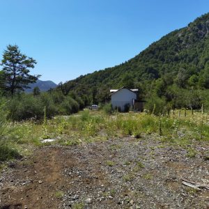 Terreno de 1.4 Ha. en Malalcahuello, sector Caracoles - Inmobiliaria Simple Sur, Malalcahuello - Corralco - Sector Caracoles (21)