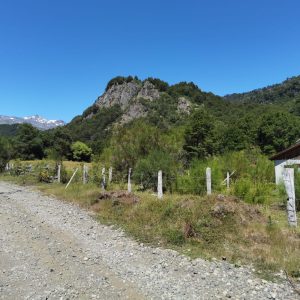 Terreno de 1.4 Ha. en Malalcahuello, sector Caracoles - Inmobiliaria Simple Sur, Malalcahuello - Corralco - Sector Caracoles (4)