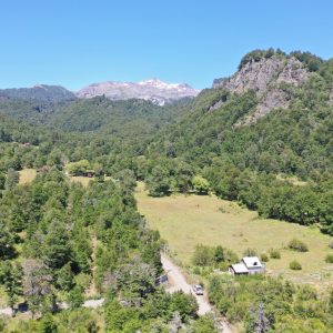 Terreno de 1.4 Ha. en Malalcahuello, sector Caracoles - Inmobiliaria Simple Sur, Malalcahuello - Corralco - Sector Caracoles (5)