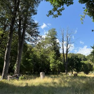 Terreto de 3 Ha. en sector Salto La Princesa, Malalcahuello - Inmobiliaria Simple Sur, Malalcahuello, Corralco, Salto la Princesa (11)