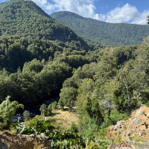 Terreto de 3 Ha. en sector Salto La Princesa, Malalcahuello - Inmobiliaria Simple Sur, Malalcahuello, Corralco, Salto la Princesa (3)