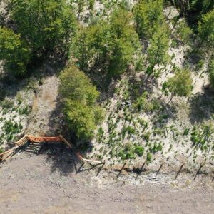 Terreno de 1 Ha. camino a Corralco, Malalcahuello - Inmobiliaria Simple Sur, Malalcahuello - Corralco (1)