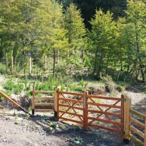 Terreno de 1 Ha. camino a Corralco, Malalcahuello - Inmobiliaria Simple Sur, Malalcahuello - Corralco (3)