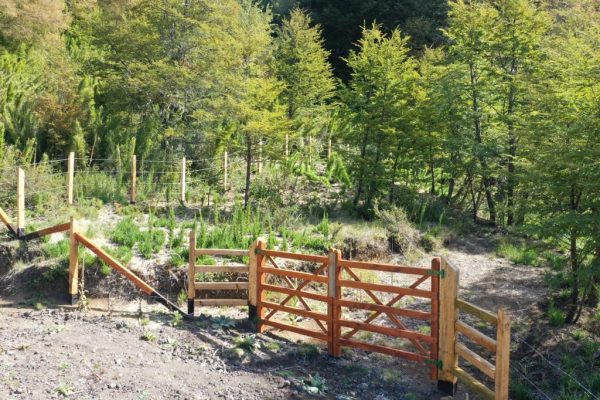 Terreno de 1 Ha. camino a Corralco, Malalcahuello - Inmobiliaria Simple Sur, Malalcahuello - Corralco (3)