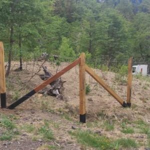 Terreno de 1 Ha. camino a Corralco, Malalcahuello - Inmobiliaria Simple Sur, Malalcahuello - Corralco (4)