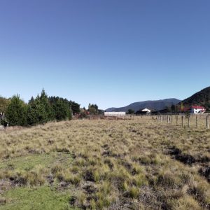 Sitios en Pueblo Malalcahuello de 1.250 m2. Venta con Inmobiliaria Simple Sur - Inmobiliaria Simple Sur, Malalcahuello - Corralco (11)