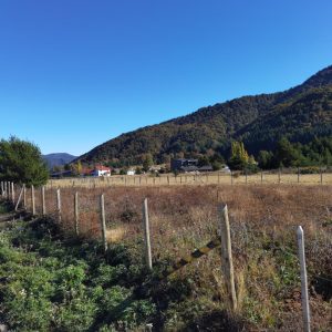 Sitios en Pueblo Malalcahuello de 1.250 m2. Venta con Inmobiliaria Simple Sur - Inmobiliaria Simple Sur, Malalcahuello - Corralco (2)