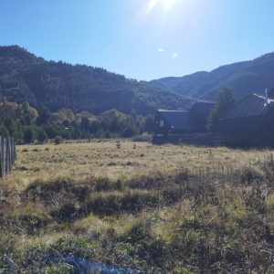 Sitios en Pueblo Malalcahuello de 1.250 m2. Venta con Inmobiliaria Simple Sur - Inmobiliaria Simple Sur, Malalcahuello - Corralco (4)