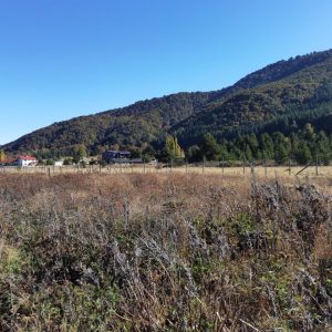 Sitios en Pueblo Malalcahuello de 1.250 m2. Venta con Inmobiliaria Simple Sur - Inmobiliaria Simple Sur, Malalcahuello - Corralco (5)