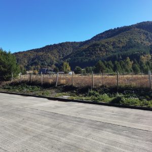 Sitios en Pueblo Malalcahuello de 1.250 m2. Venta con Inmobiliaria Simple Sur - Inmobiliaria Simple Sur, Malalcahuello - Corralco (6)