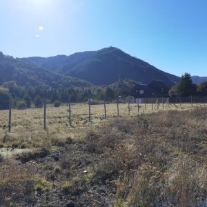 Sitios en Pueblo Malalcahuello de 1.250 m2. Venta con Inmobiliaria Simple Sur - Inmobiliaria Simple Sur, Malalcahuello - Corralco (9)