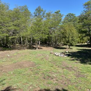 Terreno 1 Ha. con Casa, cabaña y bodega en Malalcahuello. Inmobiliaria Simple Sur, Malalcahuello - Corralco (6)