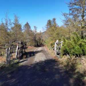 Terreno 5.000 m2 en Malalcahuello - Inmobiliaria Simple Sur, Malalcahuello, Corralco, Caracoles (14)