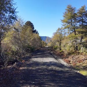 Terreno 5.000 m2 en Malalcahuello - Inmobiliaria Simple Sur, Malalcahuello, Corralco, Caracoles (15)