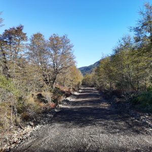 Terreno 5.000 m2 en Malalcahuello - Inmobiliaria Simple Sur, Malalcahuello, Corralco, Caracoles (16)