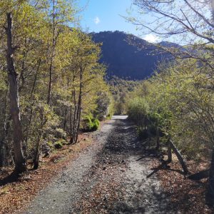 Terreno 5.000 m2 en Malalcahuello - Inmobiliaria Simple Sur, Malalcahuello, Corralco, Caracoles (17)