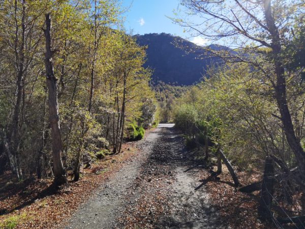 Terreno 5.000 m2 en Malalcahuello - Inmobiliaria Simple Sur, Malalcahuello, Corralco, Caracoles (17)