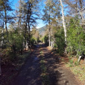 Terreno 5.000 m2 en Malalcahuello - Inmobiliaria Simple Sur, Malalcahuello, Corralco, Caracoles (2)