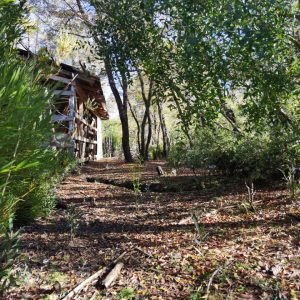Terreno 5.000 m2 en Malalcahuello - Inmobiliaria Simple Sur, Malalcahuello, Corralco, Caracoles (5)