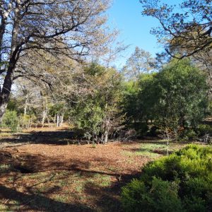 Terreno 5.000 m2 en Malalcahuello - Inmobiliaria Simple Sur, Malalcahuello, Corralco, Caracoles (7)