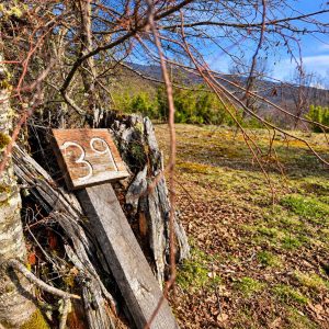 Terreno de 5.000 m2 en venta, condominio La Helvetia - Inmobiliaria Simple Sur, Malalcahuello, Helvetia, Corralco (1)