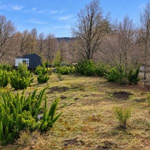 Terreno de 5.000 m2 en venta, condominio La Helvetia - Inmobiliaria Simple Sur, Malalcahuello, Helvetia, Corralco (3)