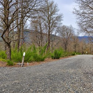 Terreno de 5.000 m2 en venta, condominio La Helvetia - Inmobiliaria Simple Sur, Malalcahuello, Helvetia, Corralco (6)