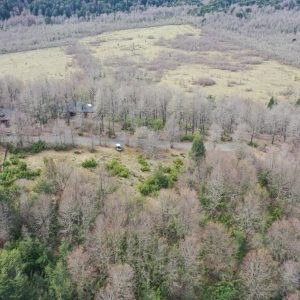 Terreno de 5.000 m2 en venta, condominio La Helvetia - Inmobiliaria Simple Sur, Malalcahuello, Helvetia, Corralco (7)