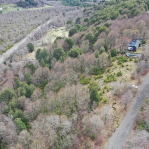 Terreno de 5.000 m2 en venta, condominio La Helvetia - Inmobiliaria Simple Sur, Malalcahuello, Helvetia, Corralco (9)